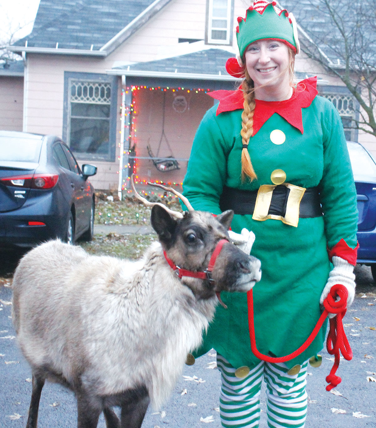 Holly the reindeer
